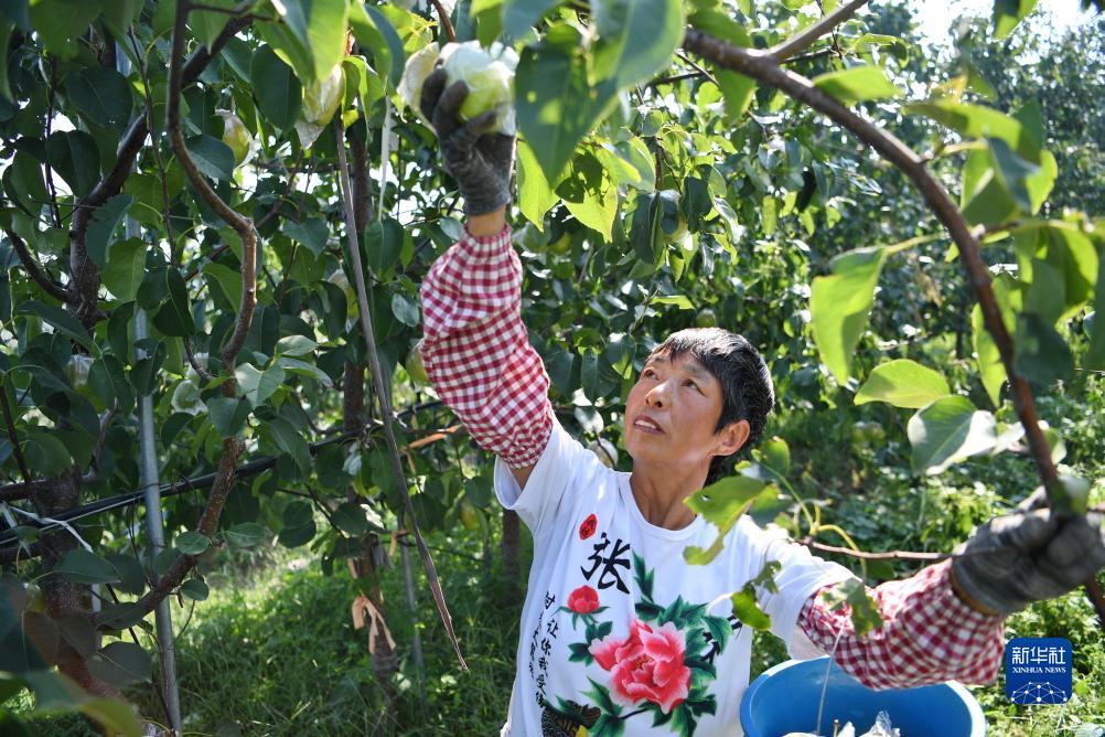在线炸金花安卓
